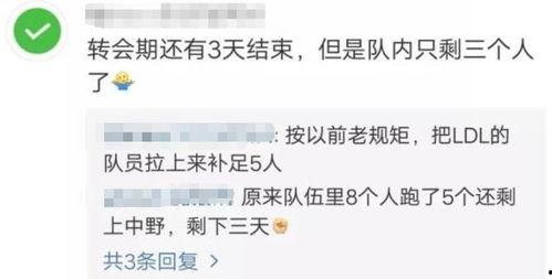 v5教练最新爆料视频,揭秘电竞圈幕后真相与精彩瞬间  第2张